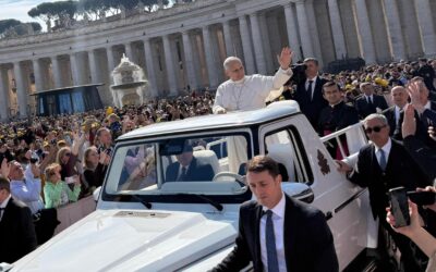 Rom, Nizza, Cran Canaria + Irland