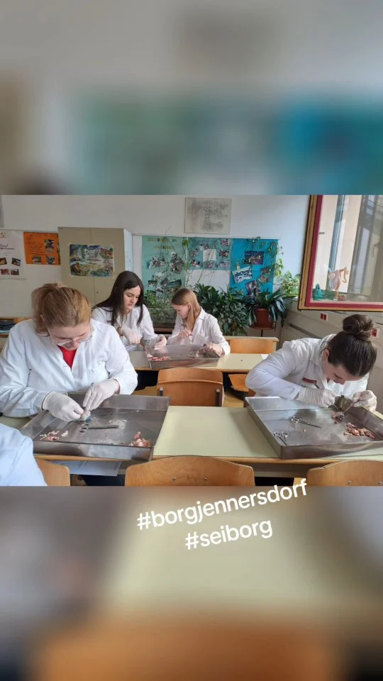 Sezieren statt nur Zusehen!
Im NawiLabor am BORG Jennersdorf wurde’s spannend: Wir haben echte Schweine- und Rinderaugen untersucht – und dabei herausgefunden, wie das Linsenauge funktioniert! Wer wissen will, wie Biologie zum Abenteuer wird, ist bei uns genau richtig.

Neugierig? Das BORG Jennersdorf verbindet Naturwissenschaft mit Action – perfekt für alle, die mehr erleben wollen als nur Unterricht!

#BORGJennersdorf #SportBORG #NawiLabor #Linsenauge #BiologiezumAnfassen #Schülerpower #Südoststeiermark #Feldbach #Fehring #StAnna #BadGleichenberg #Fürstenfeld #NeuhausAmKlausenbach #Jennersdorf #AufinsBORG #NextLevelSchule #WissenschaftEntdecken #SchuleKannMehr #seiborg #sportborgjennersdorf #fy #fyp